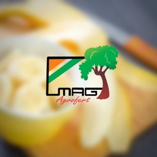 Website Development, Software Development, Application Development